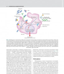 Внутренние болезни по Дэвидсону. Комплект из 5 книг - Фото 6