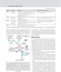 Внутренние болезни по Дэвидсону. Комплект из 5 книг - Фото 10