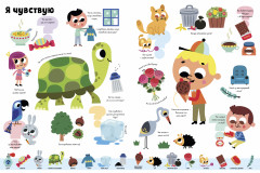 Большая викторина обо всём на свете в картинках - Фото 4