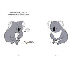 Грустные факты о детенышах - Фото 2