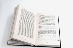 В ореоле тьмы. Артур, Луи и Адель. Комплект из 2 книг - Фото 5