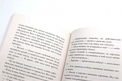 В ореоле тьмы. Артур, Луи и Адель. Комплект из 2 книг - Фото 8