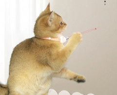 Лазер-ошейник для кошек - Фото 1