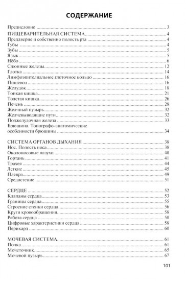 Анатомия внутренних органов в цифрах