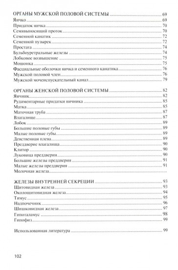 Анатомия внутренних органов в цифрах