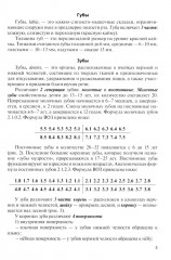 Анатомия внутренних органов в цифрах - Фото 4