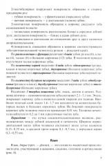 Анатомия внутренних органов в цифрах - Фото 6