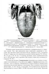 Анатомия внутренних органов в цифрах - Фото 7