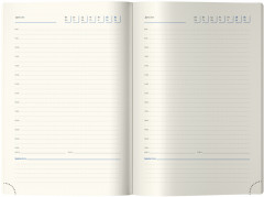 Ежедневник недатированный «Metallic» - Фото 2