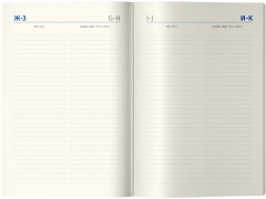 Ежедневник недатированный «Metallic» - Фото 3