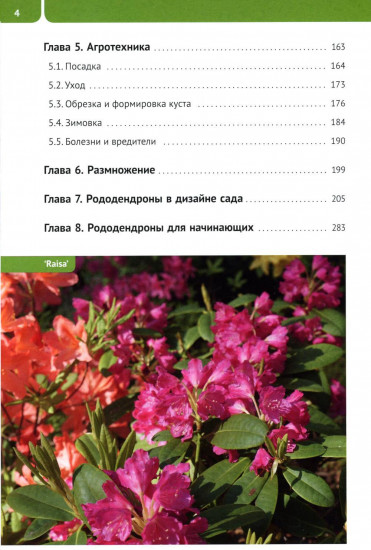 Рододендроны для Северо-Запада