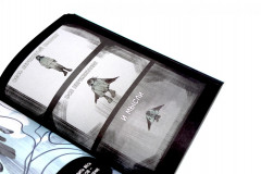 Жизнь пахнет ромашкой. Карамельный латте. Дыши. Комплект из 3 книг - Фото 2