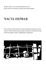 Белая лебедь Васьки Бриллианта - Фото 3