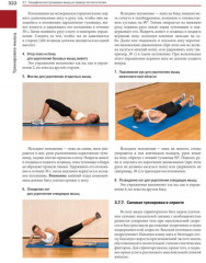 Мышцы. Анатомия. Движения. Тестирование. Мышцы в спорте. Комплект из 2 книг - Фото 1