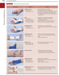 Мышцы. Анатомия. Движения. Тестирование. Мышцы в спорте. Комплект из 2 книг - Фото 2