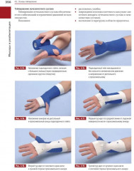 Мышцы. Анатомия. Движения. Тестирование. Мышцы в спорте. Комплект из 2 книг - Фото 3