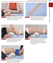 Мышцы. Анатомия. Движения. Тестирование. Мышцы в спорте. Комплект из 2 книг - Фото 4