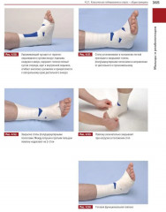 Мышцы. Анатомия. Движения. Тестирование. Мышцы в спорте. Комплект из 2 книг - Фото 5