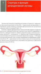 Справочник гинеколога-эндокринолога. Патологическая анатомия акушерских заболеваний. Комплект из 2 книг - Фото 2