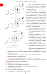 Справочник гинеколога-эндокринолога. Патологическая анатомия акушерских заболеваний. Комплект из 2 книг - Фото 5