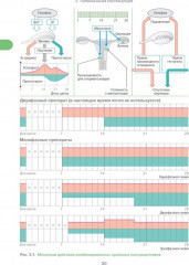 Справочник гинеколога-эндокринолога. Патологическая анатомия акушерских заболеваний. Комплект из 2 книг - Фото 7
