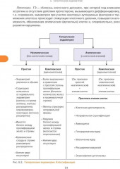 Справочник гинеколога-эндокринолога. Патологическая анатомия акушерских заболеваний. Комплект из 2 книг - Фото 10