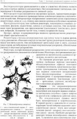 Нормальная анатомия человека. Комплект из 2 книг - Фото 7