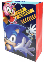 Пакет подарочный - Фото 2