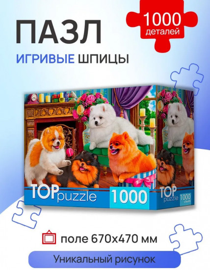Пазл «Игривые шпицы»