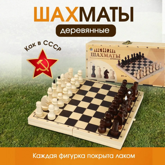 Шахматы
