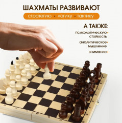 Шахматы - Фото 5