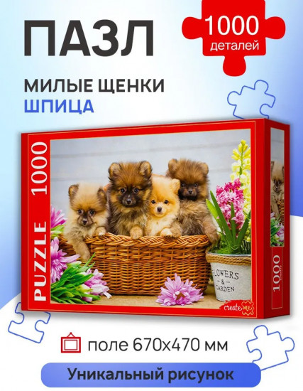 Пазл «Милые щенки шпица»
