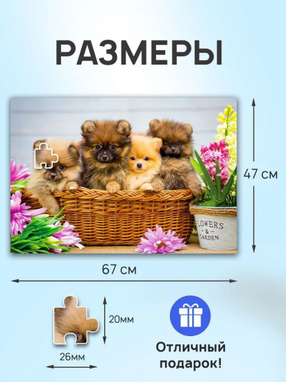 Пазл «Милые щенки шпица»