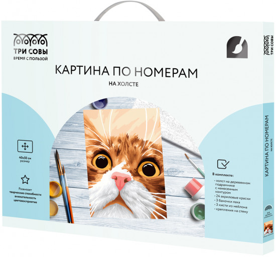 Картина по номерам «Усатый-полосатый»