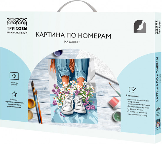 Картина по номерам «Ромашки в кедах»
