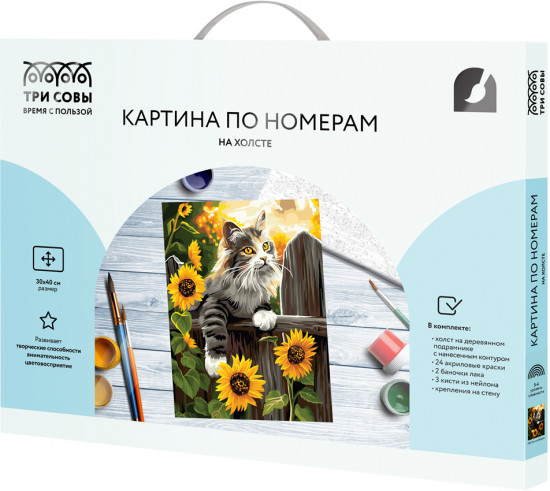 Картина по номерам «Котик на заборе»