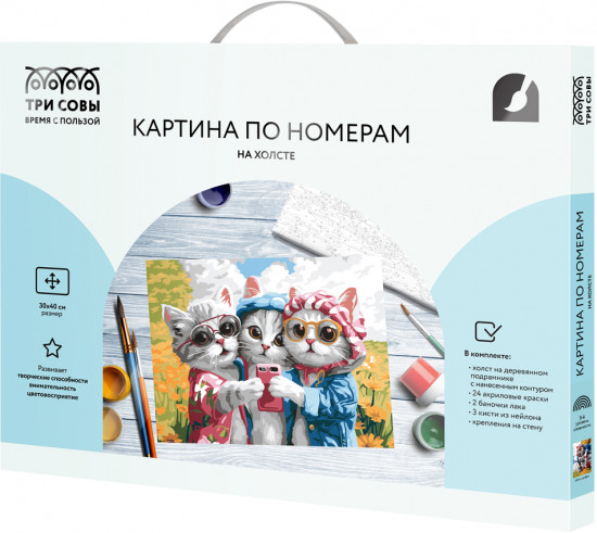 Картина по номерам «Кото-селфи»