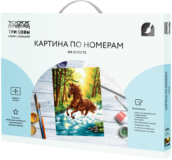 Картина по номерам «Дикая лошадь»