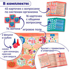 Игра настольная «Викторина. Как устроен человек?» - Фото 7