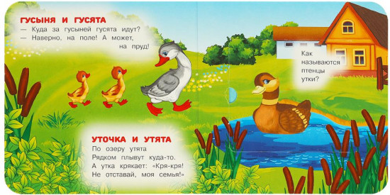 Книжка с окошками «Мамы и малыши»
