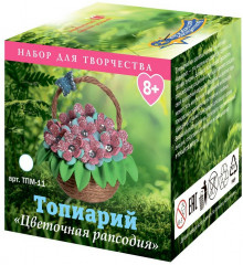 Набор для творчества «Топиарий. Цветочная рапсодия» - Фото 5