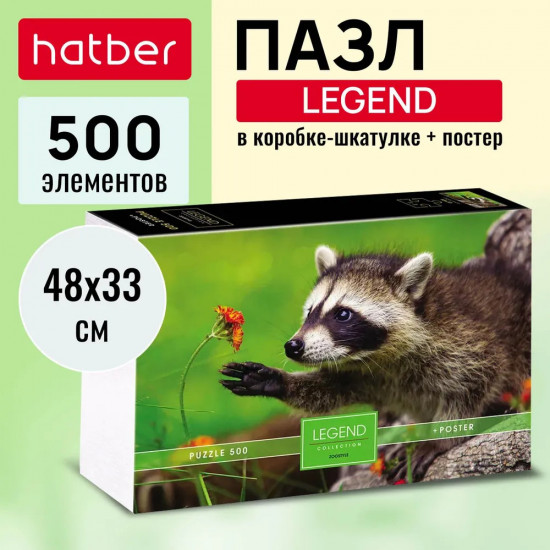 Пазл «Любопытный енот»