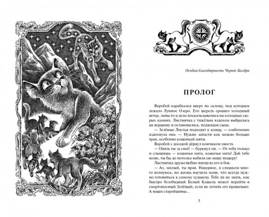 Приключения Ольхолапа