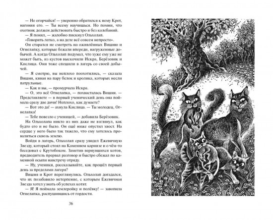 Приключения Ольхолапа