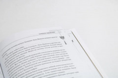 Магистр дьявольского культа. Тома 3-4. Комплект из 2 книг - Фото 13