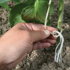 Шпагат полипропиленовый крученый - Фото 4