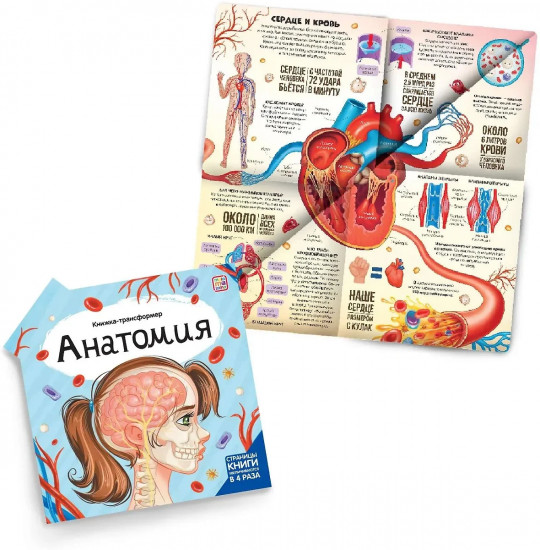 Книжка-трансформер. Анатомия