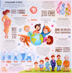 Книжка-трансформер. Анатомия - Фото 3