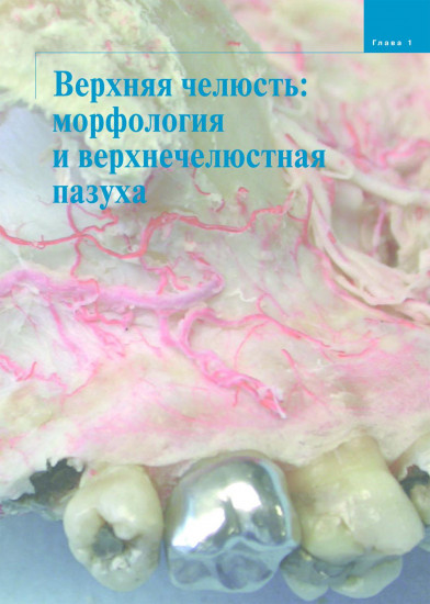 Атлас анатомии зубочелюстной системы для имплантологов