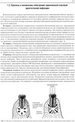 Гнойно-воспалительные заболевания головы и шеи. Этиология, патогенез, клиника, лечение - Фото 6